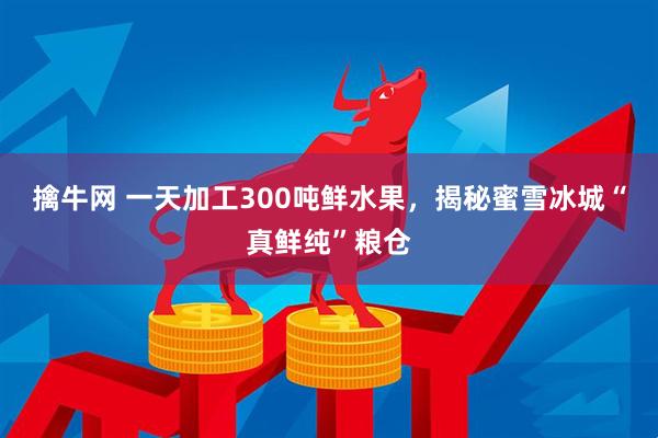 擒牛网 一天加工300吨鲜水果，揭秘蜜雪冰城“真鲜纯”粮仓