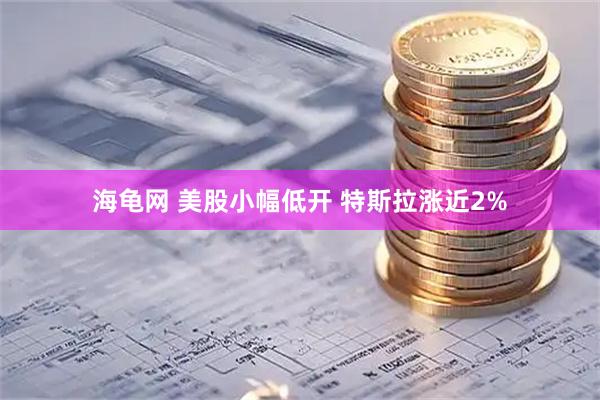 海龟网 美股小幅低开 特斯拉涨近2%